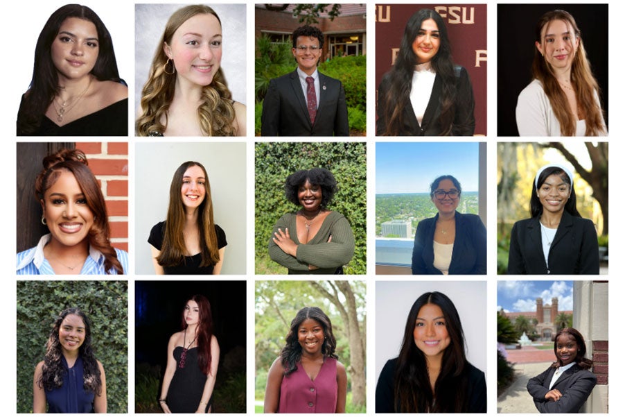 Grid of Fellowship Winners